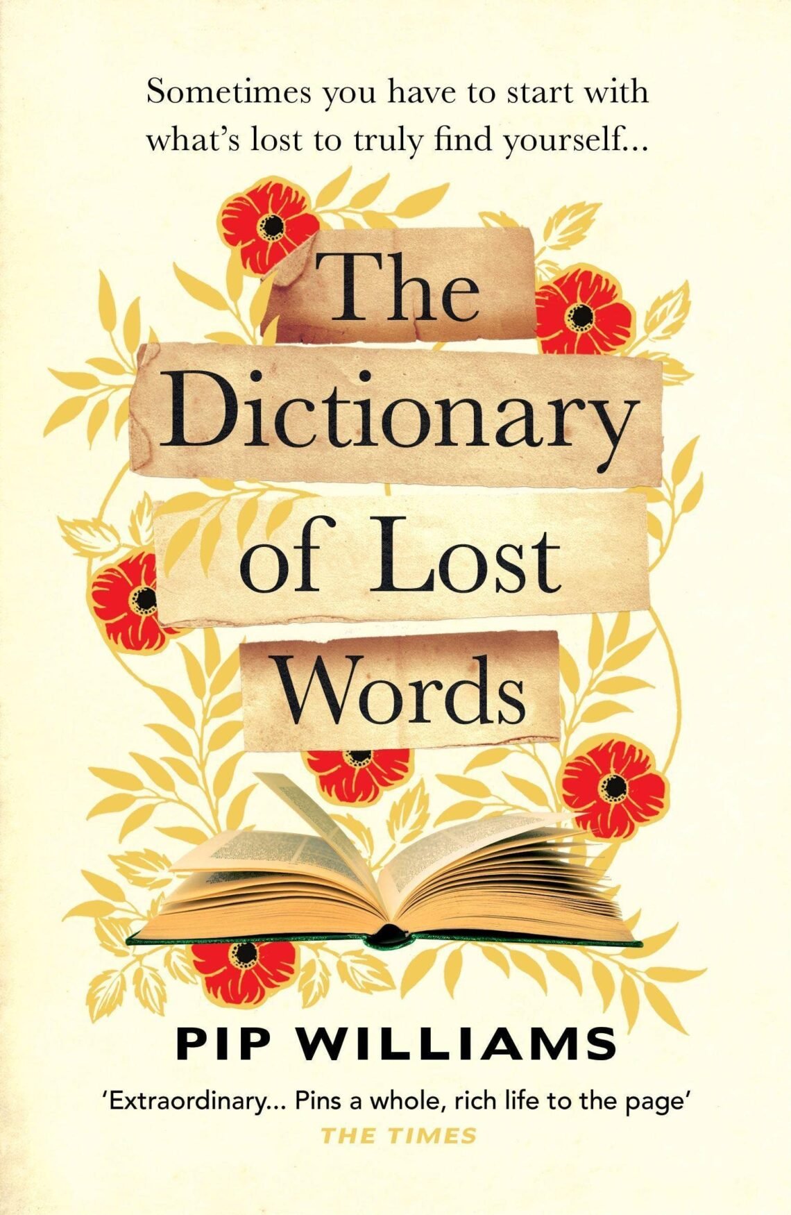 dictionary of lost words book cover